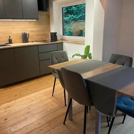 Springhouse Apartament *