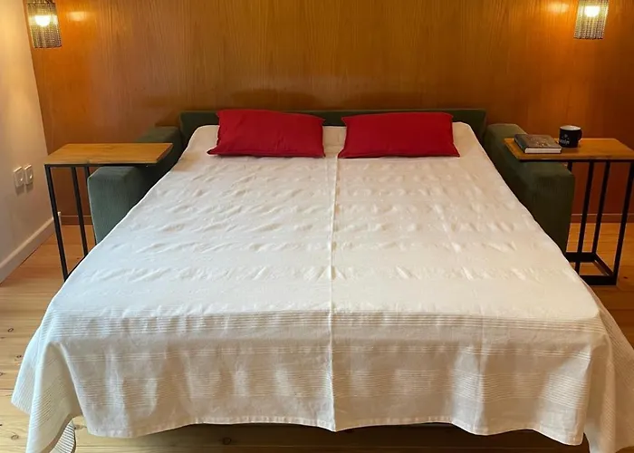 Springhouse דירה *